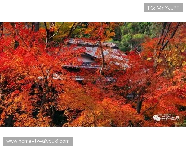 郑姝音：求胜欲是内心驱动力，目标直指冠军，植物保鲜的方法