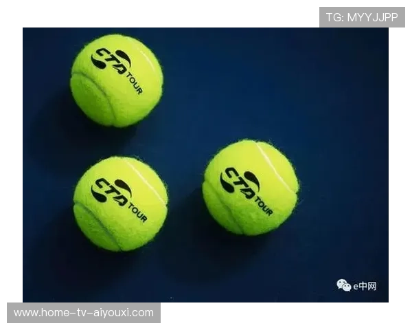 网球赛季数据驱动训练应用 网球赛季数据驱动训练应用