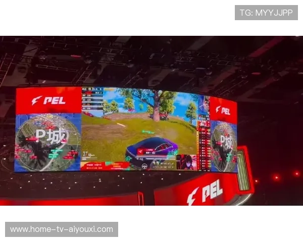 竞技状态稳定维持高水平